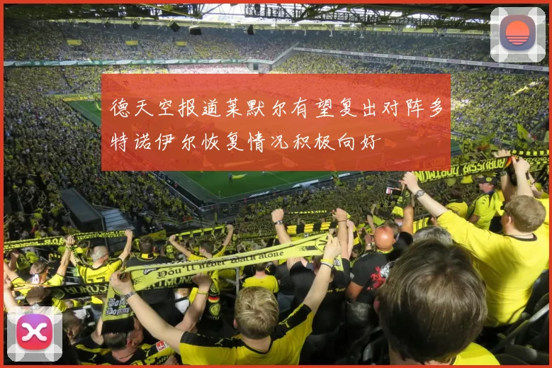 德天空报道莱默尔有望复出对阵多特诺伊尔恢复情况积极向好